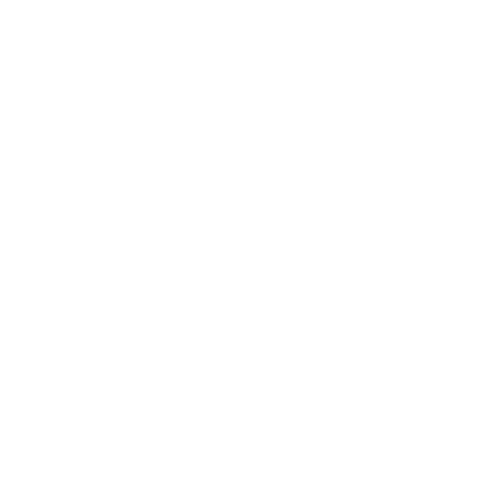 LinkedIn White Icon